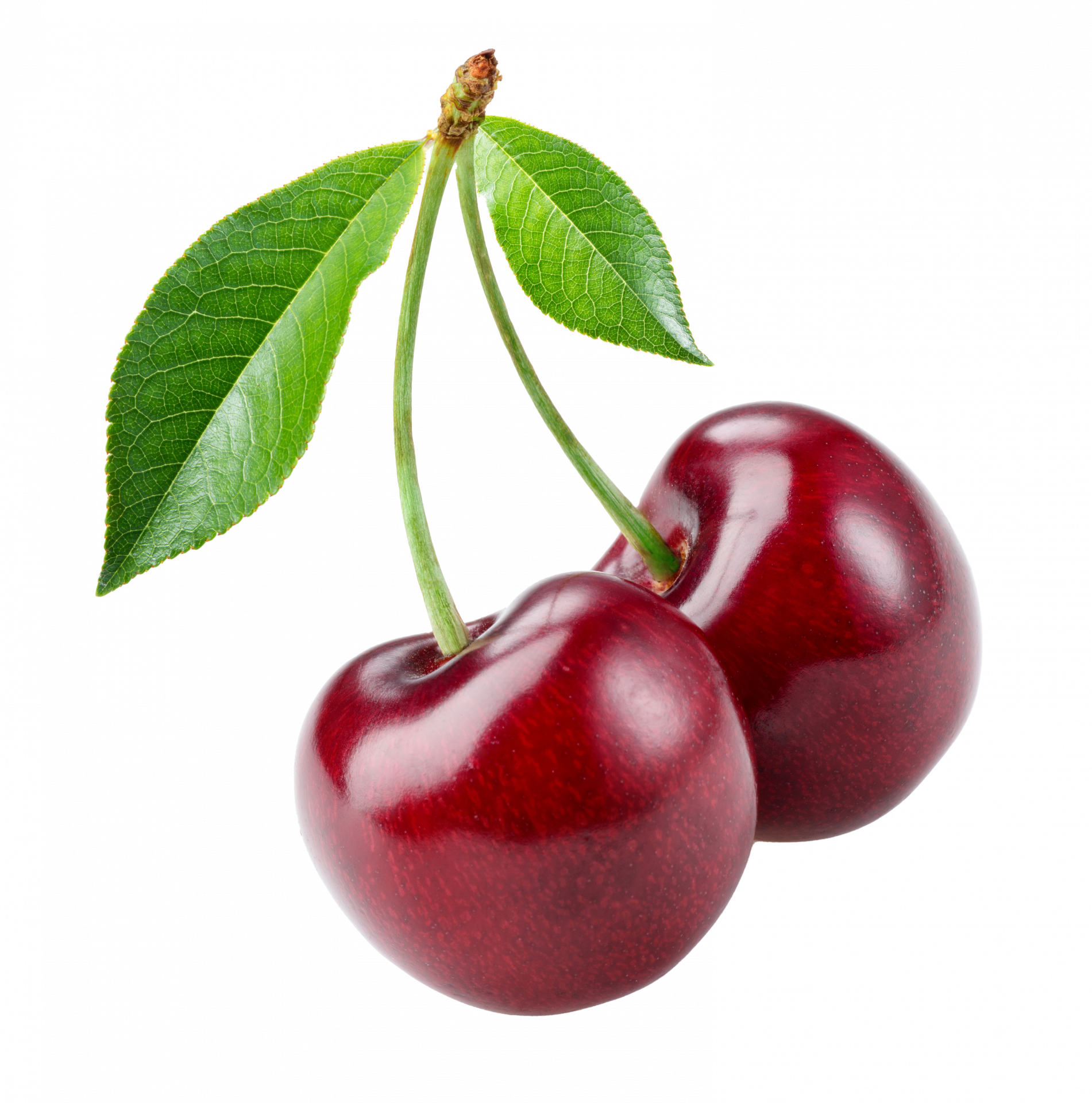 cerises